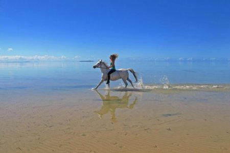 Mozambique horse safari